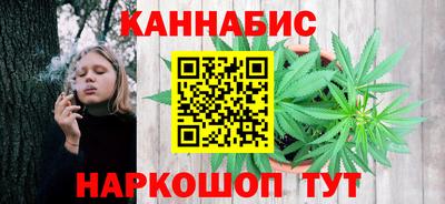 крисы Малгобек
