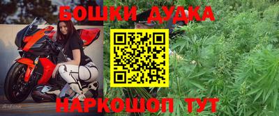 крисы Малгобек