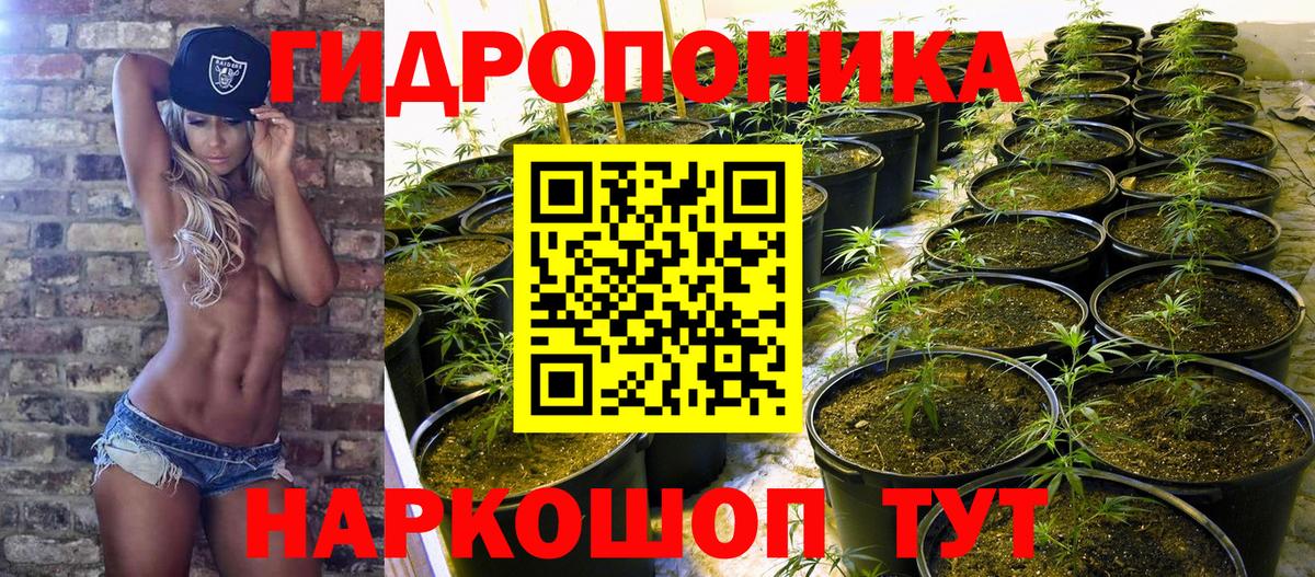 Каннабис Bruce Banner  Бошки марихуана индика  Сердобск  Конопля ГИДРОПОН  Вход с VPN  Бошки Шишки Bruce Banner 